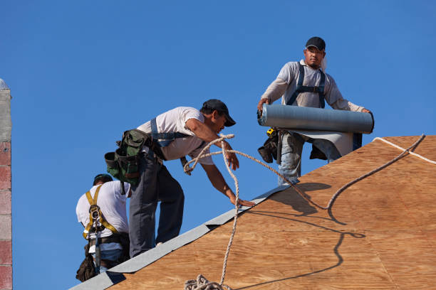 Best Roof Leak Repair  in Delphos, OH